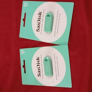 Sandisk flash drive